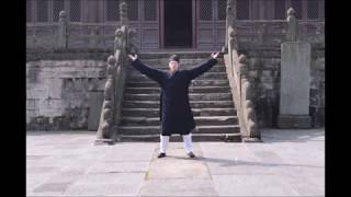 Wudang Michuan Taiji 64