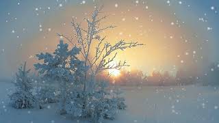 Футаж  Зимний пейзаж 20  Footage Winter landscape 20