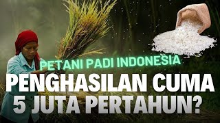 Kenapa Harga Beras Indonesia Mahal, Tapi Petani Padi Miskin?