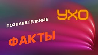 Интересные факты о ухе