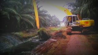 RECONDITION Excavator SUMITOMO Long Arm‼️Cuci Parit Perkebunan Kelapa Sawit