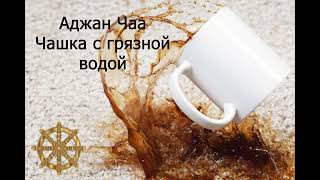 Аджан Чаа "Чашка с грязной водой"