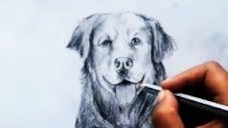 Simple dog drawing/how to draw dog #arthubacademy