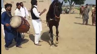 Beautiful Ghora Dance Owner Mian Imtiaz Aslam Labana & Mian Alah Dita Labana District Pakptan part 4