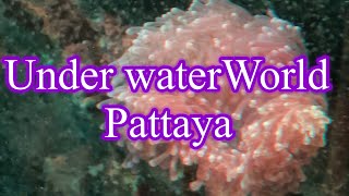 Under water world | Pattaya