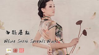 White Stork Spreads Wings 白鹳展翅 Traditional Chinese Instrumental Music.