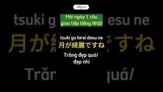 (Mỗi ngày một câu giao tiếp tiếng Nhật) Trăng đẹp quá nhỉ #shorts #hoctiengnhat#jellyfishvn