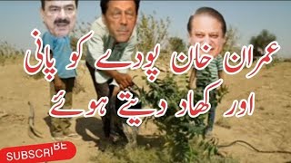 Imran Khan Poday Ko Pani Dete Hoay | Nawaz Sharif Funny Video | Sheikh Rasheed | Village Life 741