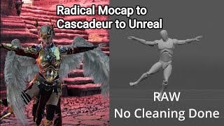 Motion Capture: Discover Radical for Games & Animation and Import to Cascadeur