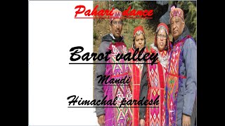 Pahari dance/  Barot vally #nature love # beautiful himachal