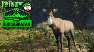 Sundarpatan Nepal Hunting Reserve ft. @Catfishman97Gaming - Part 4 | Xbox Series X Gameplay