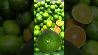 Grapefruit Calories #shortvideo #fruit #trending