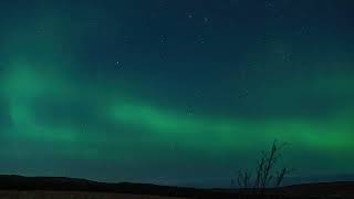 Time lapse of the aurora borealis in the village of back on the isle of lewis FREE STOCK VIDEO