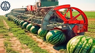 Satisfying Videos Food Processing Machines That At Another Level ▶120