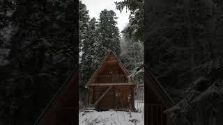 Winters | Nature Enthusiast | #shorts #asmr #oddlysatisfying