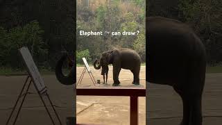 Elephant 🐘 can draw? #shortsvideo