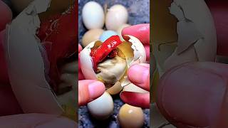 Balut eggs are super delicious p512 #asmr #mukabang #funny