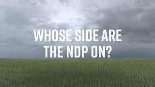 The NDP are not on our side.