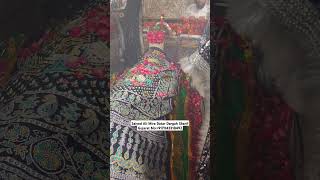 Mira datar dargah Urs stetus|whatsapp qawwali status|2024new qawwali|Famous qawwali|mira data