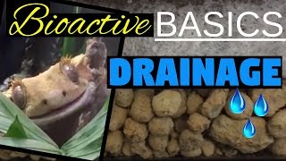 Drainage Layers - Why You Need a Drainage Layer for Your Bioactive Vivarium | Bioactive Basics #1