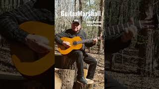 Easter Weekend Guitar Picking #yamahaguitar #guitarmusic #hymnmusic #nylonstringguitar #acoustic