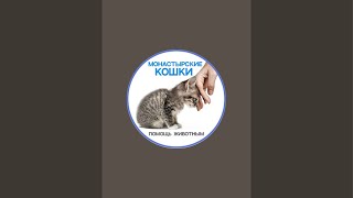 Мать Арсения, помогите!📍*СБЕРБАНК*   4276 3500 1341 5698 на Наталью  Е привязан +79192547760