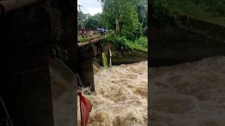 small Dam Open heavy rain Odisha #dam #odisha #heavyrain #waterfall #cuttack #viralvideo #rainfall