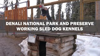 Princess Cruisetour:  Denali National Park And Preserve Working Sled Dog Kennels