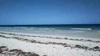 50 Acres Prime Beach Plot Kilifi Bofa.