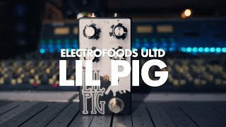 Electrofoods Ultd. Lil Pig || Guitar & Bass Demo || NoiseGenerator