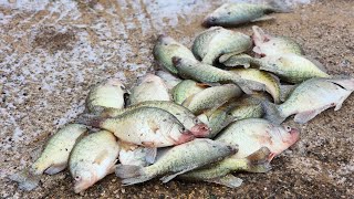 PT.1 FREEZING!!! CAUGHT MY LIMIT AT THE DAM..CRAPPIE!!