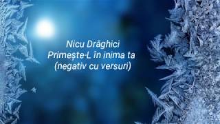 Primește-L în inima ta - Nicu Drăghici (negativ cu versuri)