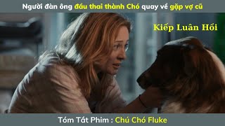 Review Phim Hay : Chú Chó Fluke | Tóm Tắt Phim Hay