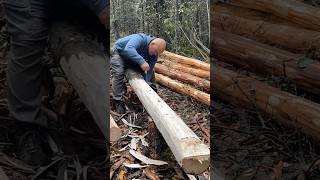 Log peeling time-lapse - Alaskan log cabin #alaska #bushcraft