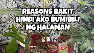 BAKIT HINDI NA AKO BUMIBILI NG HALAMAN (MAG PROPAGATE TAYO NG HALAMAN)