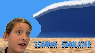 tsunami simulator