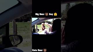 Big Bear 🐻 Says Hi 😁 #viral #trend #shortsvideo