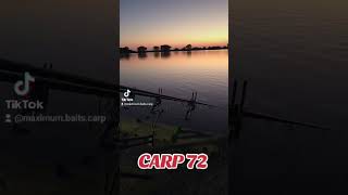 #carpfishing2024 #fishing #carping #carpfish #fishing2024 #carpfishinglife #fish #carpfishing #fyp