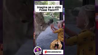 🦁IMAGINA UM VIDRO MAIS FRACO😄#funny #trend #viral #trending #trendingshorts #status #humor #zueira