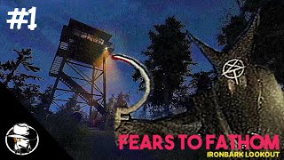 There's Someone in my Tower.... [Fears to Fathom] [Ironbark Lookout] [#1]