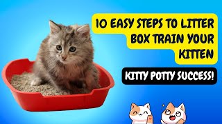 10 Ridiculously Easy Steps to Litter Box Train Your Kitten