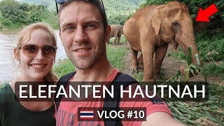 EIN TAG MIT ELEFANTEN ★ Elephant Nature Park | Chiang Mai | Thailand ★ Vlog #10