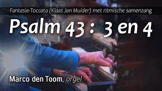 Samenzang Psalm 43 (bewerking Klaas Jan Mulder) - MARCO DEN TOOM, Grote Kerk, Dordrecht