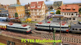 FS TEE Mediolanum Spur N mit FS E444 Tartaruga (Scale N)