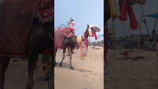 Beautiful Sea beach 🌬️🌊😍 #puri #sea #beach #nature #love #beautiful #minivlog #youtubeshorts #shorts