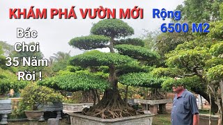 LẦN ĐẦU thăm vườn BÁC LÝ 1 nghệ nhân LÃO LUYỆN có RẤT NHIỀU TP QUÝ - chơi cây 35 năm tại Hải Hậu .