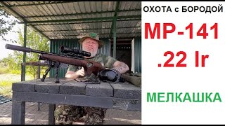 ОХОТА с БОРОДОЙ. Про мелкашку в общем и МР-141 в частности или у кого короче?