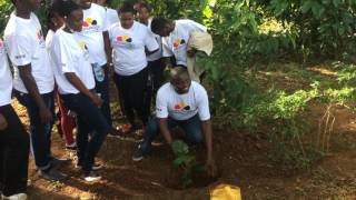 NUCAFE's Joseph Nkandu, Marco & Augusto Dalla Ragione planting Coffee.