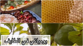 يوميات في الطايف |جولة يوميه | في مزرعتي وحصاد ثمارها