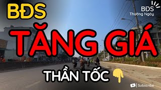 Các giai đoạn Tăng Giá Bất Động Sản - Bắt buộc phải nắm ! BĐS Thường Ngày